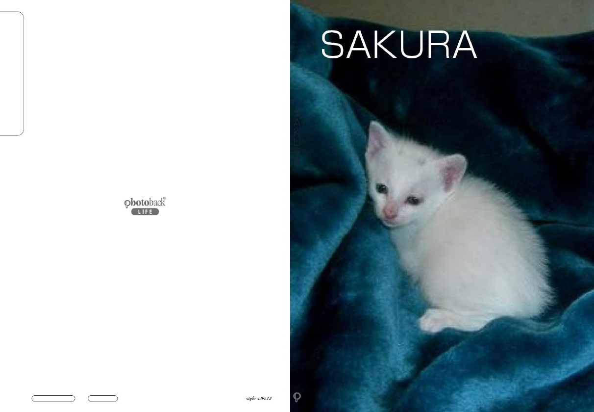 フォトブック ジャケット