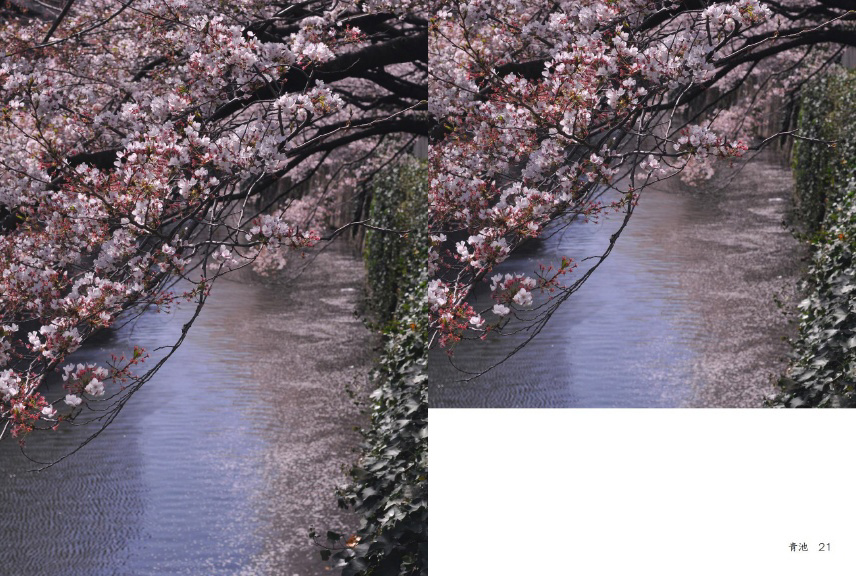 フォトブック 20ページ目
