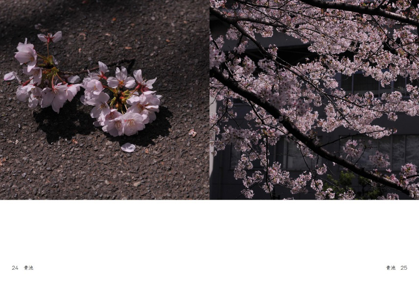 フォトブック 24ページ目